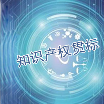 知識產(chǎn)權(quán)貫標(biāo)