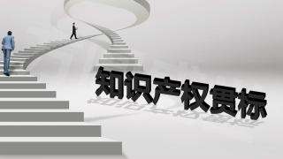 企業(yè)實行知識產(chǎn)權(quán)貫標(biāo)后 作用竟有這么大！