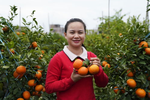 新華全媒 幸福看這里 幸福是 播 出來的