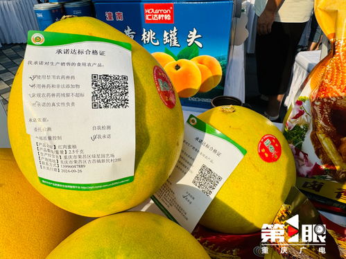 更好守護 舌尖上的安全 重慶市開展食用農(nóng)產(chǎn)品承諾達標合格證宣傳活動