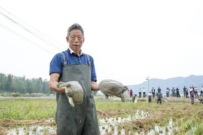 產(chǎn)業(yè)紀(jì)實 | 發(fā)展產(chǎn)業(yè)拔窮根 脫貧致富奔小康--我市開展產(chǎn)業(yè)扶貧推進精準(zhǔn)脫貧紀(jì)事