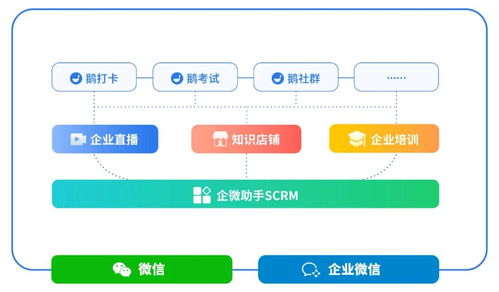 d輪融資1.2億美元,小鵝通究竟在做什么